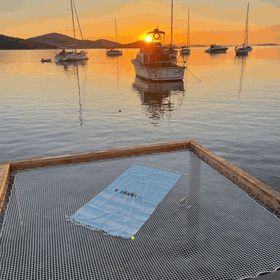 Beach house Sofia Bain