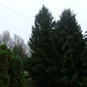 Harkányi Kovács Apartman