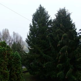 Harkányi Kovács Apartman