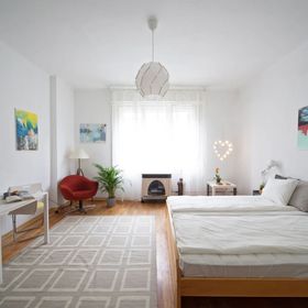 Central Apartment in Buda Budapest