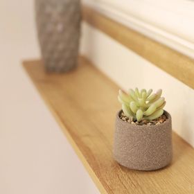 Apartament Patrick Gura Humorului