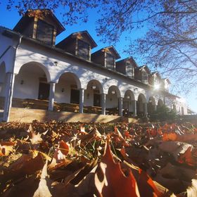 Lovasbarát Fogadó Győrújbarát