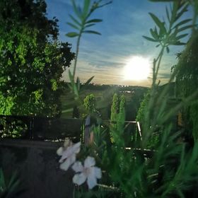 Lovasbarát Fogadó Győrújbarát