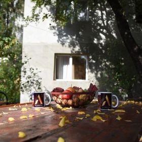 1st Apartment Nehoiu