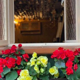 Chata Zvoneček Jiřetín pod Jedlovou