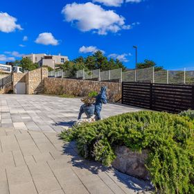 Apartments Sunshine D Crikvenica