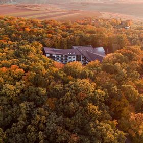 Rediu Hotel & Restaurant Botoșani