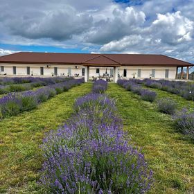 Ezüst Mező Vendégház Nagyecsed