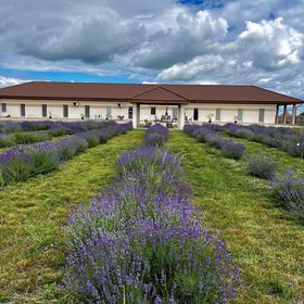 Ezüst Mező Vendégház Nagyecsed