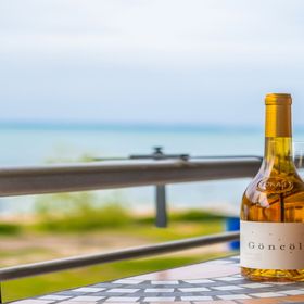 MF Club 218 D1/1 Wellness Apartment Siófok