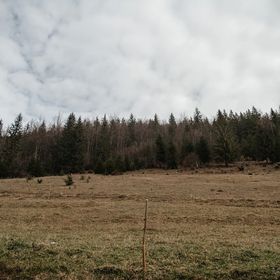 Cabana Yvan Gârda de Sus