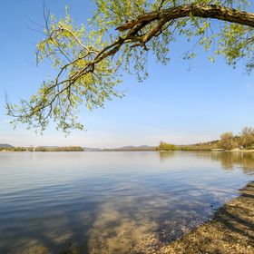Napraforgó Apartmanház Zebegény