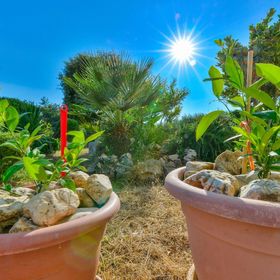 Apartments Pavlak Vir II