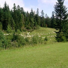 Domek pod Majową Górą Kacwin