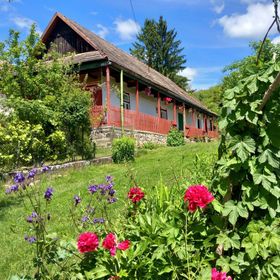 Szőlősor Vendégház Terény