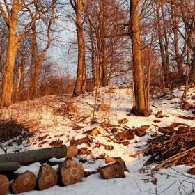 Áfonyácska Vendégház Galyatető