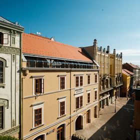 Palatinus Boutique Hotel Pécs