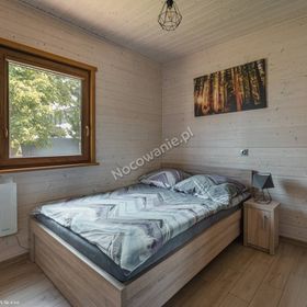 Domki Forest Camp Zator