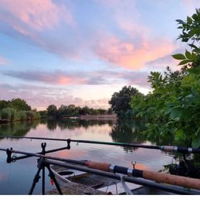 Templom-zugi Vendégház Gyomaendrőd