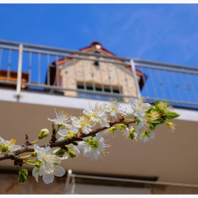 House Natalija Primosten