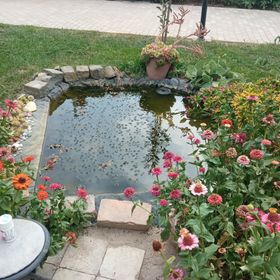 Fecskefészek Vendégház Csongrád