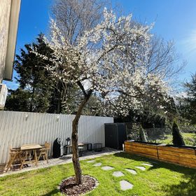 City Nest Apartman Eger