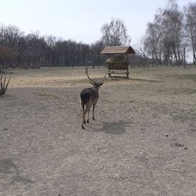 Bíbic Apartman B Kápolnásnyék