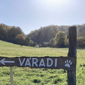 Váradi Vendégház Mánfa