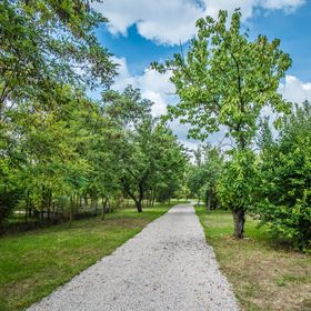 Szalmaszál Vendégház Szarvas