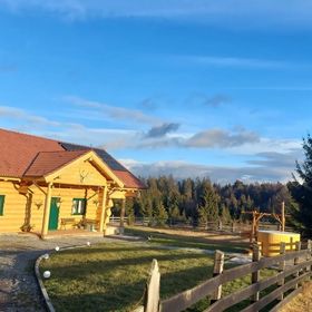 Cabana Szencsedi Erdészlak Lupeni