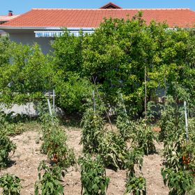 House Marin Kastel Stafilic