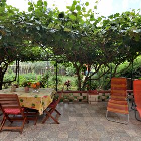 Apartment Kivi Valbandon