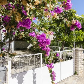 Apartment Roza Vodice