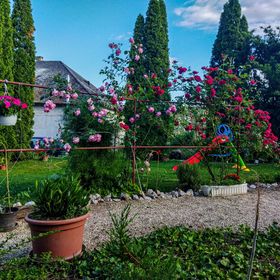 Naszály Kapuja Vendégház Kosd