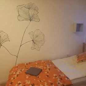 Elefántos Apartman Kaposvár