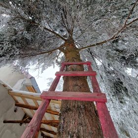 Casuta Bunicii Sântimbru-Băi
