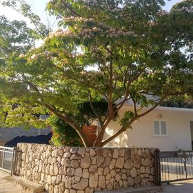 Apartmanok A Tenger Mellett Öböl Saplunara, Mljet - 4896 Saplunara