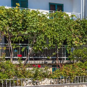 Apartmanok Parkolóhellyel Selce Crikvenica - 19455