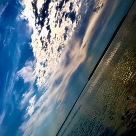 Casa de vacanță Olga Murighiol