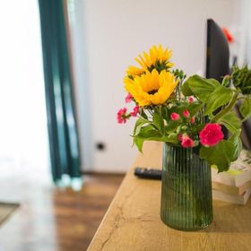 Apartamenty Malinowy Chruśniak Średnia Wieś