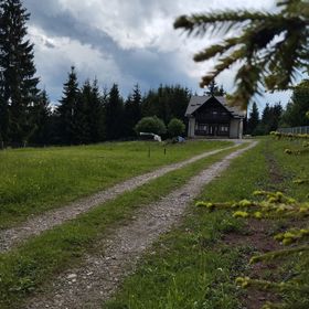 Cabana Panorama Borzont