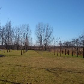 Vízcsepp Vendégház Pátyod