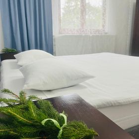 Guest House La TaTa Neagra Șarului