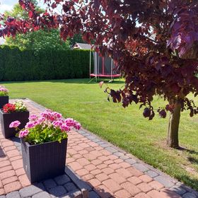 Morski Błękit Grzybowo