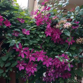 Apartament w Rewalu Rewal