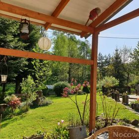 Agroturystyka Lusatia Farm Leśna Grabiszyce 