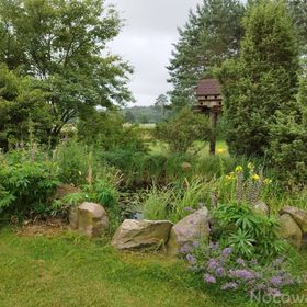 Stajnia van Szok- agroturystka w lesie Dzierżążno Wielkie