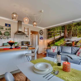 Apartament Zielona Mila Ustrzyki Dolne