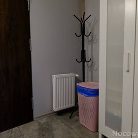 Pokoje wypoczynkowe "Wiejski Raj" Chocieszów