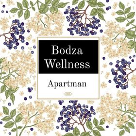 Bodza Wellness Apartman Hajdúszoboszló